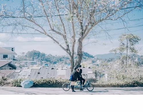 Những hình ảnh nên thơ này vẫn đang được dân mạng chia sẻ rộng rãi.