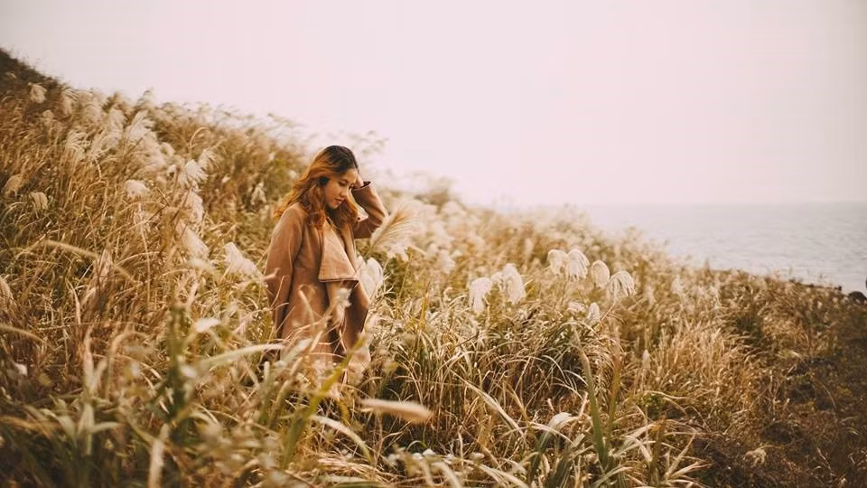 Đến Jeju, bạn có thể chọn 3 khu vực để ở. Đầu tiên là Jeju city nằm ngay sân bay. Đây là thành phố hiện đại, với những tòa nhà chọc trời, tuy nhiên giá thành thì rất đắt và xa các khu tham quan.