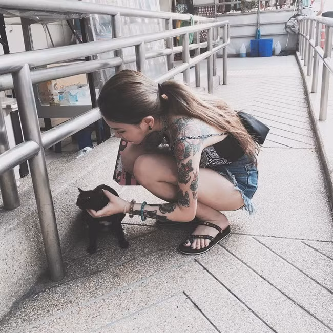 Cô nàng mở một phòng khám thú y nhỏ, chuyên nhận chữa bệnh, chăm sóc cho những con mèo đáng thương. Bản thân hot girl Thạch Hi Lộ cũng nuôi rất nhiều mèo, cô nàng cũng có cả chó cưng đáng yêu và nghịch ngợm.