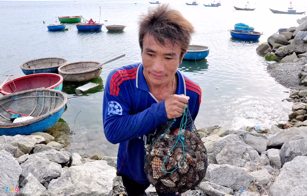 "Nghề lặn bắt ốc cừ dù ngâm nước dưới biển chịu lạnh cả ngày cơ cực, nhọc nhằn nhưng bù lại có thu nhập khá cao, đắt bắt đi về trong ngày", anh Trần Văn Hạnh (ngụ xã An Hải) nói. Theo giá thị trường hiện nay, mỗi kg ốc cừ (loại còn nguyên vỏ) khoảng 40.000 đồng, loại đã đập vỏ chỉ lấy ruột khoảng 200.000 đồng. Hàng ngày mỗi ngư dân lặn bắt khoảng 20 kg ốc à một số thủy sản khác, thu nhập từ 1 triệu đến vài triệu đồng. 