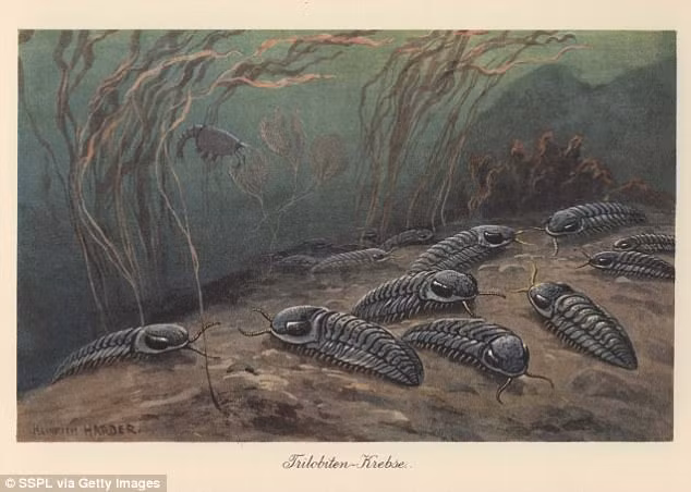 Dai tuyet chung lon nhat lich su dang quay tro lai?-Hinh-2