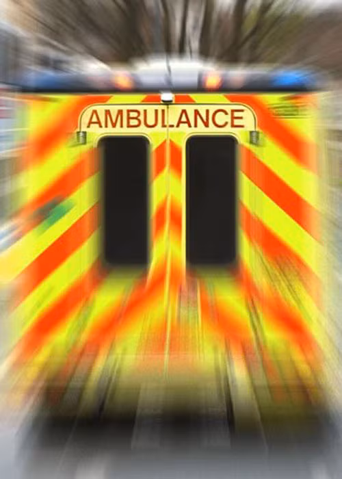 Be 4 tuoi cuu song me nho biet dung Touch ID va Siri