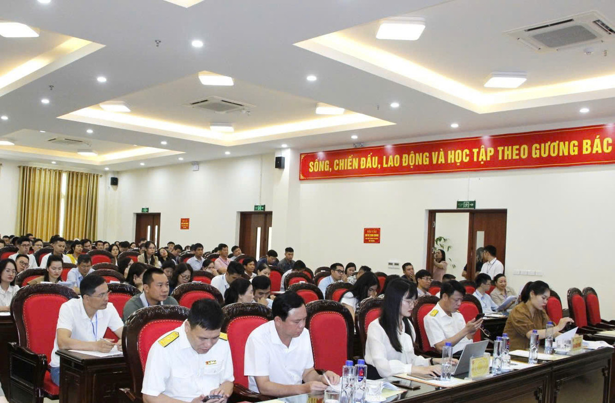 Son La dau gia thanh cong 69 lo dat, thu ve hon 197 ty