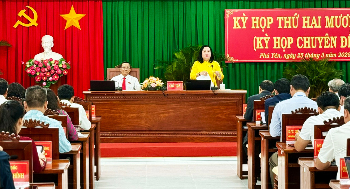 Pho Chu tich Thuong truc HDND tinh Phu Yen xin nghi huu truoc tuoi