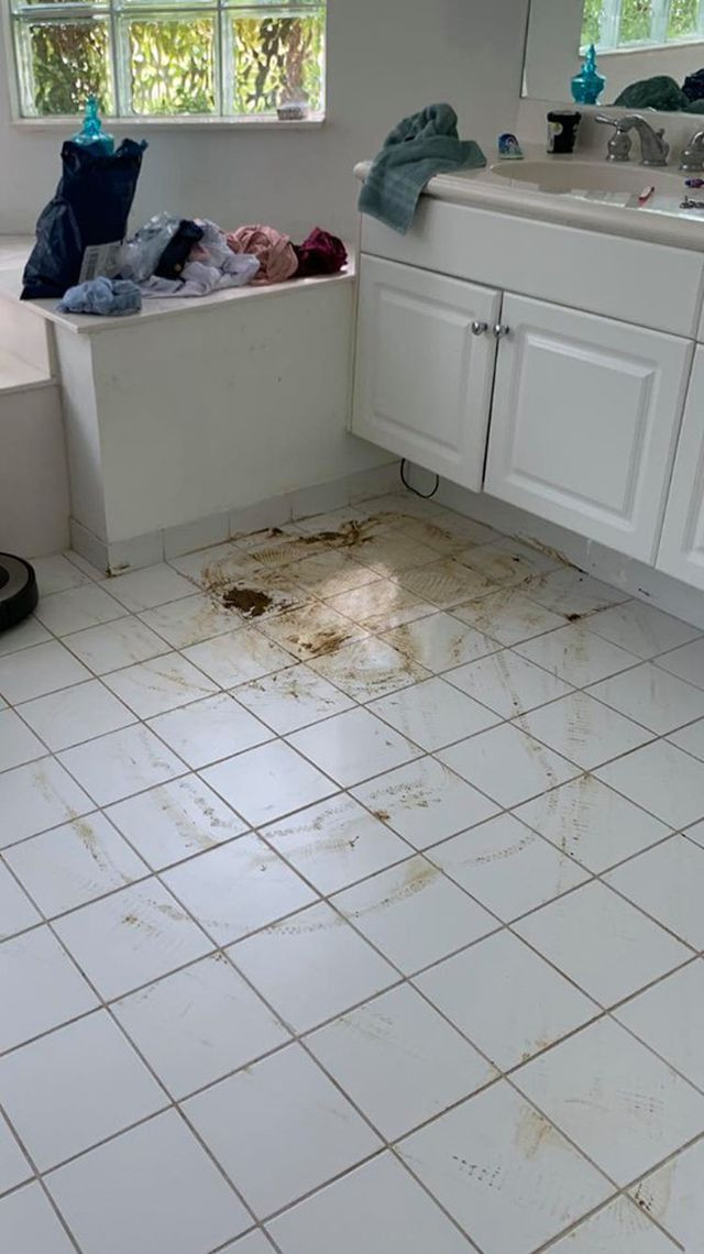 Nhiều người thường nghĩ, chỉ cần bật nguồn và cho robot hút bụi "chạy rông" khắp nhà là nó có thể dọn dẹp sạch sẽ sàn nhà. Quan điểm này vừa đúng lại vừa sai, đa phần các robot hút bụi có thể xử lý rất tốt những rác bẩn có kích thước nhỏ, vụn vương vãi trên sàn nhà... Nhưng khi gặp phải một vết bẩn dễ lây lan, thì việc robot hút bụi chạy ngang qua sẽ tạo ra một "thảm họa" thực sự.