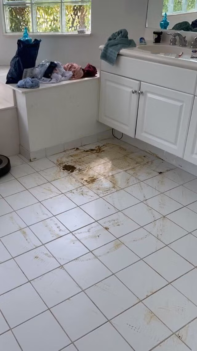 Nhiều người thường nghĩ, chỉ cần bật nguồn và cho robot hút bụi "chạy rông" khắp nhà là nó có thể dọn dẹp sạch sẽ sàn nhà. Quan điểm này vừa đúng lại vừa sai, đa phần các robot hút bụi có thể xử lý rất tốt những rác bẩn có kích thước nhỏ, vụn vương vãi trên sàn nhà... Nhưng khi gặp phải một vết bẩn dễ lây lan, thì việc robot hút bụi chạy ngang qua sẽ tạo ra một "thảm họa" thực sự.