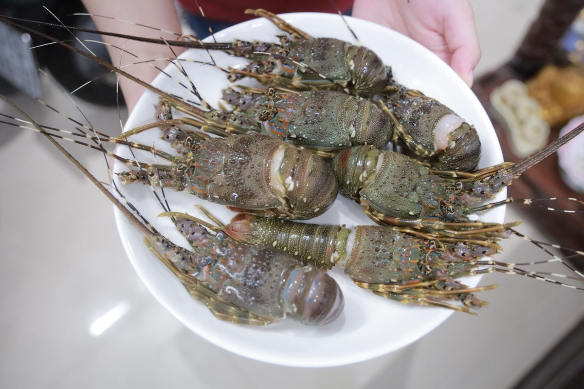 Tôm hùm “mini” giá siêu rẻ được rao bán tràn lan trên chợ mạng - Hình 2 Tom hum “mini” gia sieu re duoc rao ban tran lan tren cho mang-Hinh-2