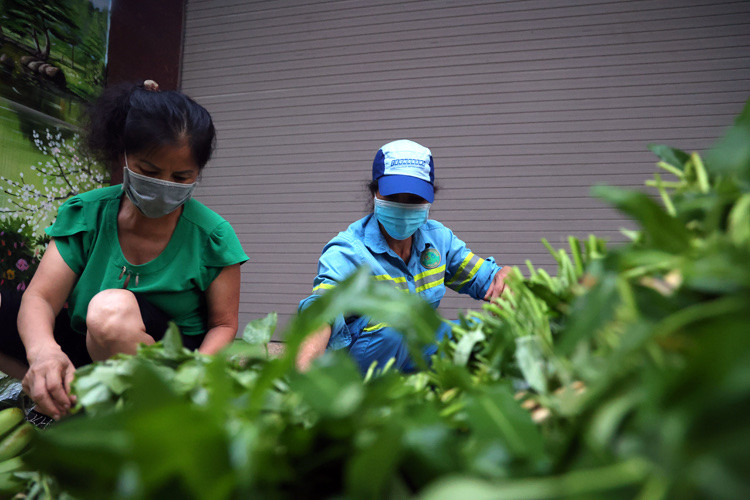 Chị Ngoan cho biết: “Chúng tôi ở bên Gia Lâm nên có thể mua rau tại vườn giá rẻ lại ngon. Do biết bên nội thành Hà Nội rất khó mua rau nên tiện đường chúng tôi chở sang phố”.