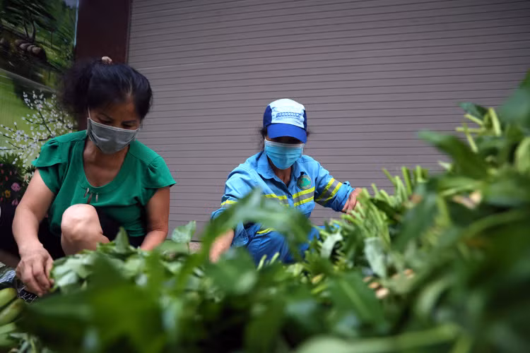 Chị Ngoan cho biết: “Chúng tôi ở bên Gia Lâm nên có thể mua rau tại vườn giá rẻ lại ngon. Do biết bên nội thành Hà Nội rất khó mua rau nên tiện đường chúng tôi chở sang phố”.