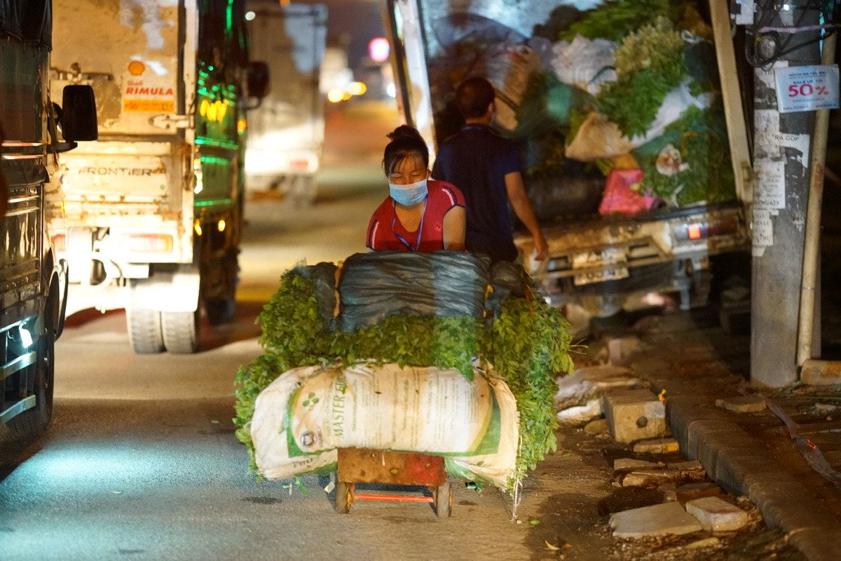 Trước giờ chợ mở cửa, ô tô đã xếp thành hàng dài chờ chở đồ vào bãi xe tập kết hàng.