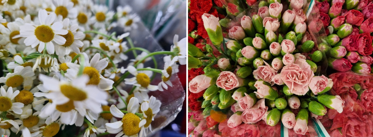 Nhờ trang bị cảm biến với kích thước điểm ảnh và khẩu độ lớn, Galaxy S21+ 5G có khả năng chụp được bức ảnh đẹp trong điều kiện ánh sáng không thuận lợi. Cả hai ảnh được chụp vào ban đêm ở chợ hoa, ảnh không có hiện tượng ám vàng. Có thể thấy những đóa hoa vẫn giữ được màu trắng khá đẹp. Tông đỏ vốn thử thách khả năng xử lý của các máy ảnh cũng được Galaxy S21+ 5G thể hiện khá chính xác, tạo được sắc độ rõ nét so với màu hồng ngay trong điều kiện ánh sáng yếu.