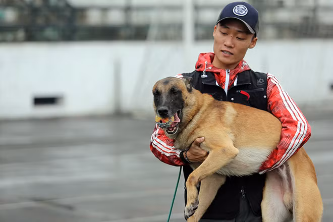 Anh Đạt (chủ nhân của chú chó Azi) chia sẻ, để sở hữu một chú chó chăn cừu Bỉ, ngoài tình yêu, đam mê và hiểu biết nhất định người chơi còn phải bỏ ra một số tiền không nhỏ, lên đến hàng trăm triệu đồng.