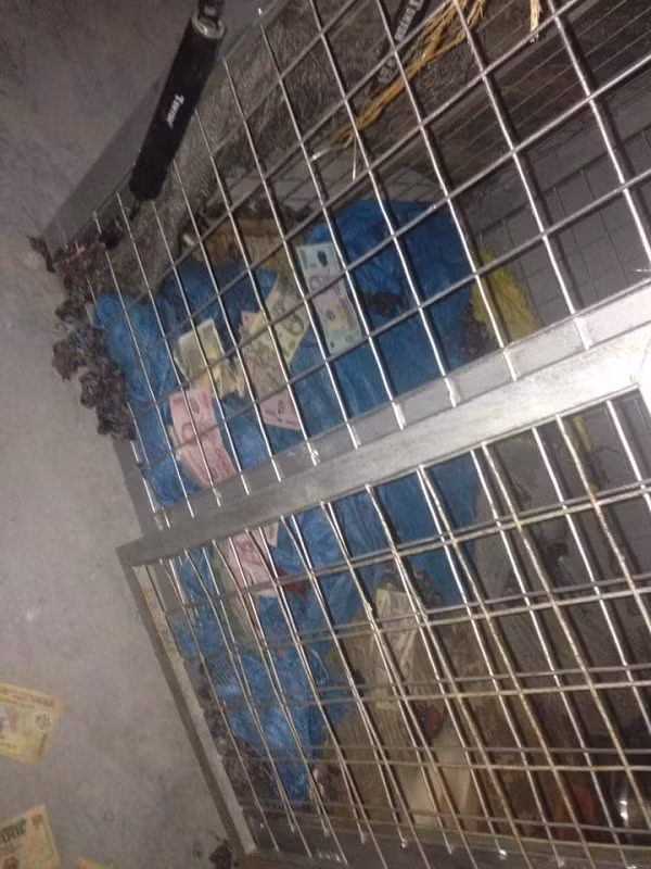 Bằng chứng rành rành về tội 'ăn cắp' và phá hoại tài sản công dân của 2 chú cún 'linh vật của năm'.