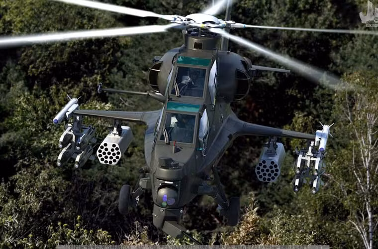 Trực thăng WZ-10 có tầm hoạt động 800km, tốc độ hành trình 270km/h, có khả năng mang 16 tên lửa chống tăng loại HJ-10 hoặc HJ-8/9; 16 tên lửa không đối không TY-90 hoặc 4 quả loại PL-5/7/9. Trong tác chiến trên biển, WZ-10 có thể làm máy bay trinh sát, chi viện cho các lực lượng đổ bộ đường biển.