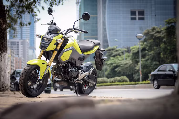 Kể từ khi ra mắt, Honda MSX 125 đã nhanh chóng được những người yêu môtô trên khắp Thế giới ưa chuộng. Để tiếp tục thành công của dòng xe, Honda đã giới thiệu phiên bản nâng cấp MSX125 SF mới nhất tại Thái Lan vào tháng 2. Sau 3 tháng, những chiếc Honda MSX125 SF đầu tiên đã được nhập về Việt Nam.