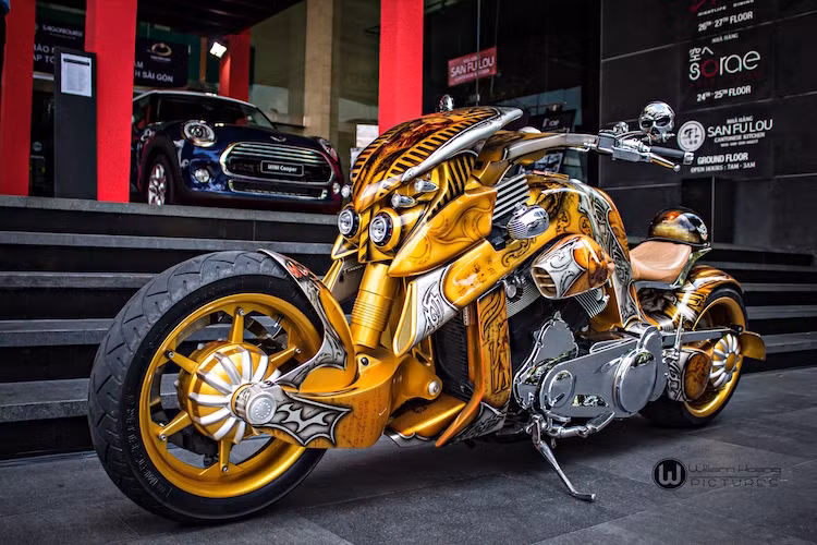 Tính tới thời điểm hiện tại, có tổng cộng 3 chiếc Travertson V-Rex được nhập vào Việt Nam. Trong đó, 2 chiếc ở Sài Gòn đã lần lượt được chủ xe sơn airbrush với họa tiết lấy cảm hứng từ Ai Cập cổ đại và các tia sét.