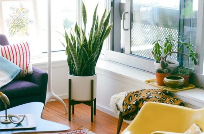 Dat 4 thu nay o dau giuong: Vo chong luc duc, tien bac hao tan