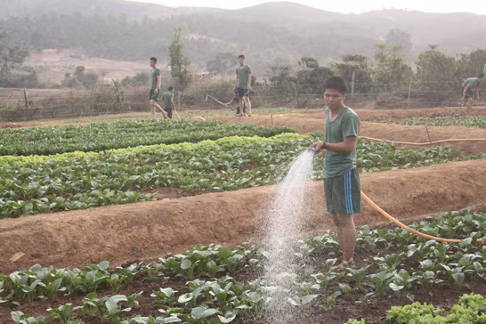 Khu tăng gia đảm bảo đủ rau xanh cho bếp ăn của đơn vị.