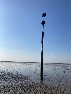 Theo thống kê của BBC, hơn 100 người được cho là đã thiệt mạng khi đi bộ trên con đường Broomway trong nhiều năm. Ngoài ra, một số người cho rằng, con số nạn nhân thực tế có thể cao hơn bởi một số trường hợp không được ghi lại. Trong số những nạn nhân thiệt mạng khi đi bộ trên đường Broomway, 66 người được mai táng trong nhà thờ Little Foulness. Thi thể của những nạn nhân còn lại mãi chưa tìm thấy. Ảnh: grobo59 / Atlas Obscura User.