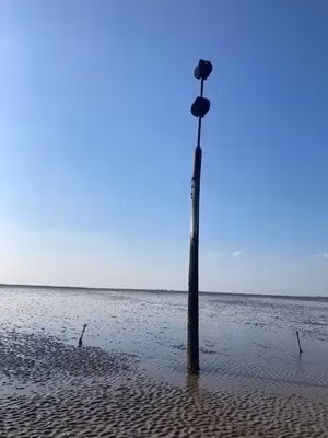 Theo thống kê của BBC, hơn 100 người được cho là đã thiệt mạng khi đi bộ trên con đường Broomway trong nhiều năm. Ngoài ra, một số người cho rằng, con số nạn nhân thực tế có thể cao hơn bởi một số trường hợp không được ghi lại. Trong số những nạn nhân thiệt mạng khi đi bộ trên đường Broomway, 66 người được mai táng trong nhà thờ Little Foulness. Thi thể của những nạn nhân còn lại mãi chưa tìm thấy. Ảnh: grobo59 / Atlas Obscura User.