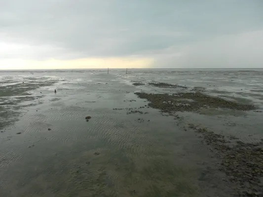 Ngày nay, đường Broomway không còn là tuyến đường đi bộ duy nhất để đến đảo Foulness. Quân đội đã xây dựng đường mới và một vài cây cầu vào năm 192 kết nối đảo Foulness với Wakering Stairs. Tuy nhiên, nhiều du khách vẫn trải nghiệm đến Foulness thông qua Broomway như một cuộc phiêu lưu. Ảnh: MagnumPI / Atlas Obscura User.