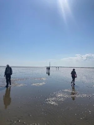 Thêm nữa, mối nguy hiểm từ trường bắn trên đảo Foulness với những quả đạn, pháo chưa nổ có thể gây nguy hiểm đến tính mạng của những người đi bộ trên con đường Broomway. Ảnh: grobo59 / Atlas Obscura User.