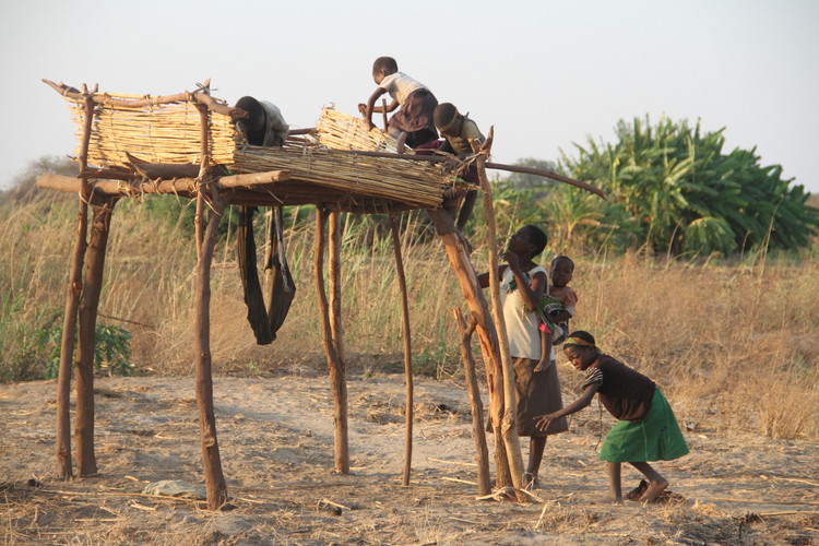 Tuy nhiên, các thành viên bộ tộc Doma đã thích nghi với mỗi bàn chân chỉ có 2 ngón. Thậm chí, một số người cho rằng, đôi bàn chân thiếu ngón giúp họ leo cây, săn bắt hái lượm hiệu quả hơn. Ảnh: Kudakwashe Hunda.