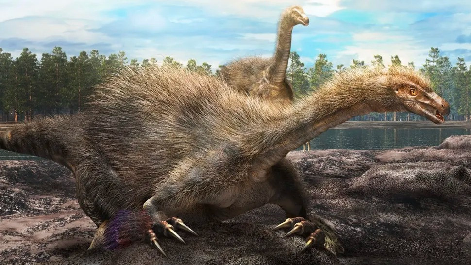 Loài khủng long mới phát hiện thuộc nhóm khủng long có tên gọi therizinosaurs. Đây là nhóm những loài khủng long có những đặc điểm chung bao gồm: móng vuốt kích thước lớn và cong như lưỡi liềm để cắt lá cây, xương hông hướng về phía sau, cổ dài nhưng đầu nhỏ và được bao phủ bởi lông tơ hoặc lông giống như lông vũ. Ảnh: Masato Hattori.