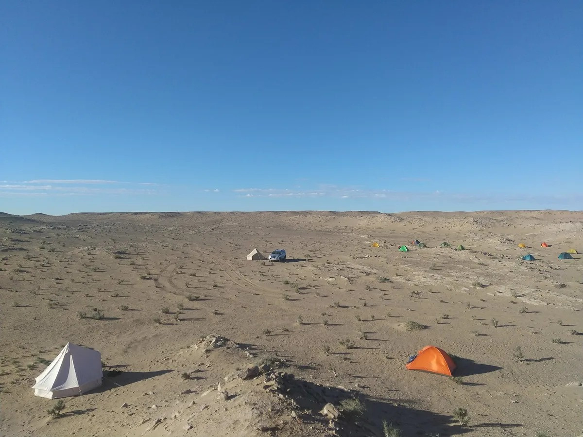 Therizinosaurs là nhóm khủng long từng sống phổ biến ở khu vực châu Á và Bắc Mỹ trong thời kỳ Phấn trắng, từ 145 triệu đến 66 triệu năm trước. Ảnh: Kobayashi Yoshitsugu.