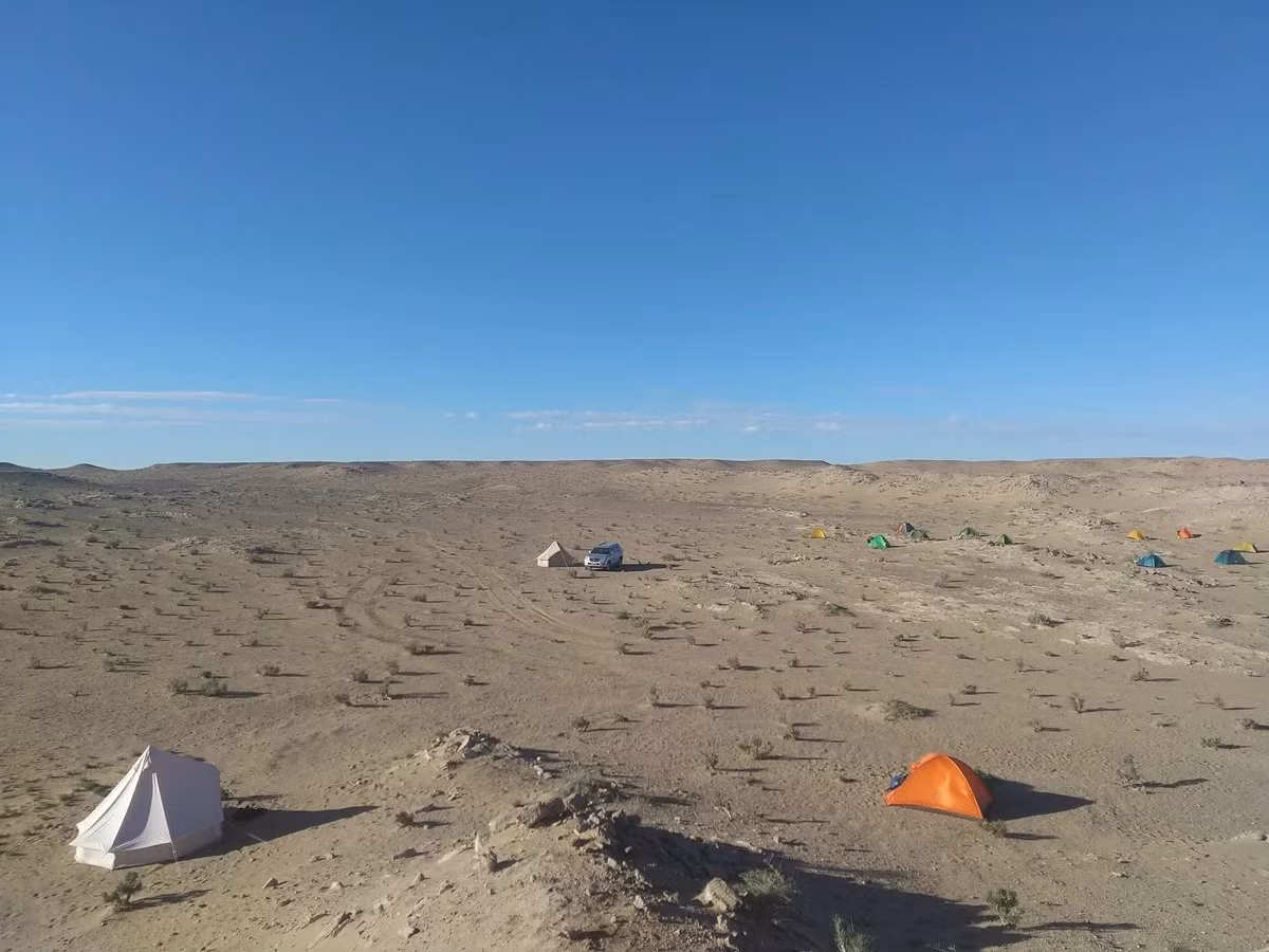 Therizinosaurs là nhóm khủng long từng sống phổ biến ở khu vực châu Á và Bắc Mỹ trong thời kỳ Phấn trắng, từ 145 triệu đến 66 triệu năm trước. Ảnh: Kobayashi Yoshitsugu.