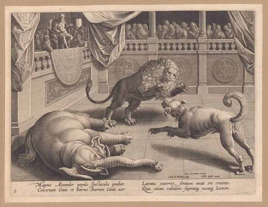 Không chỉ có vết cắn của một loài mèo lớn, nhiều khả năng là sư tử, đấu sĩ bị chặt đầu. Qua đó có thể thấy người đàn ông này có cái chết đầy đau đớn trong một cuộc chiến đẫm máu tại đấu trường. Ảnh: Harris Brisbane Dick Fund/Wikimedia Commons.