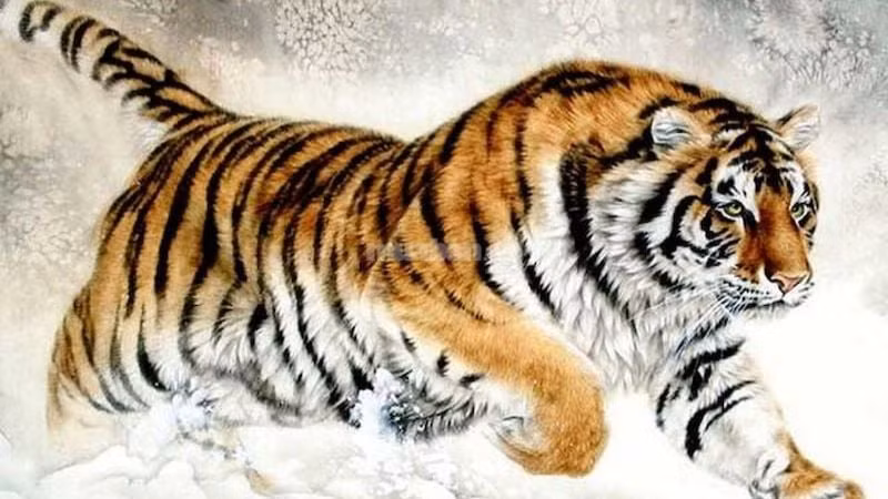 Vận thế ngày 4/4/2025 của người tuổi Dần xao xuyến. Tình cảm: Tuổi Dần độc thân xao xuyến trước hành động, lời nói ngọt ngào từ đối phương. Công việc: Con giáp này dựa vào ý tưởng mới nghĩ ra để phác thảo bản kế hoạch. Tiền bạc: Người tuổi Dần tự tin với khả năng quản lý tài chính, túi tiền luôn đầy.