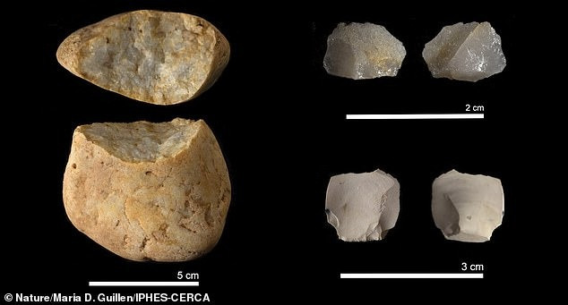 Từ đây, các nhà nghiên cứu suy đoán loài người mới có thể đã cùng tồn tại với Homo antecessor và Homo erectus trong cùng một khoảng thời gian nhưng cũng có thể sống vào các giai đoạn lịch sử khác nhau. Ảnh: Nature/Maria D. Guillén / IPHES-CERCA.