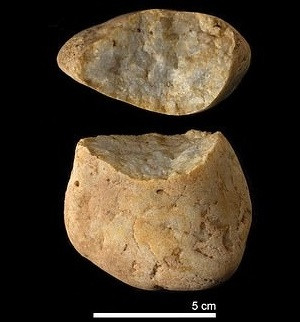 Ban đầu, các nhà nghiên cứu cho rằng, những đặc điểm trên khuôn mặt của Pink giống loài người khác là Homo erectus. Còn gọi là "người đứng thẳng", Homo erectus xuất hiện khoảng hơn 2 triệu năm trước, được cho là loài đầu tiên của chi Homo (chi Người), biết đứng thẳng trên 2 chân và sản xuất công cụ một cách hiệu quả. Ảnh: Nature/Maria D. Guillén / IPHES-CERCA.