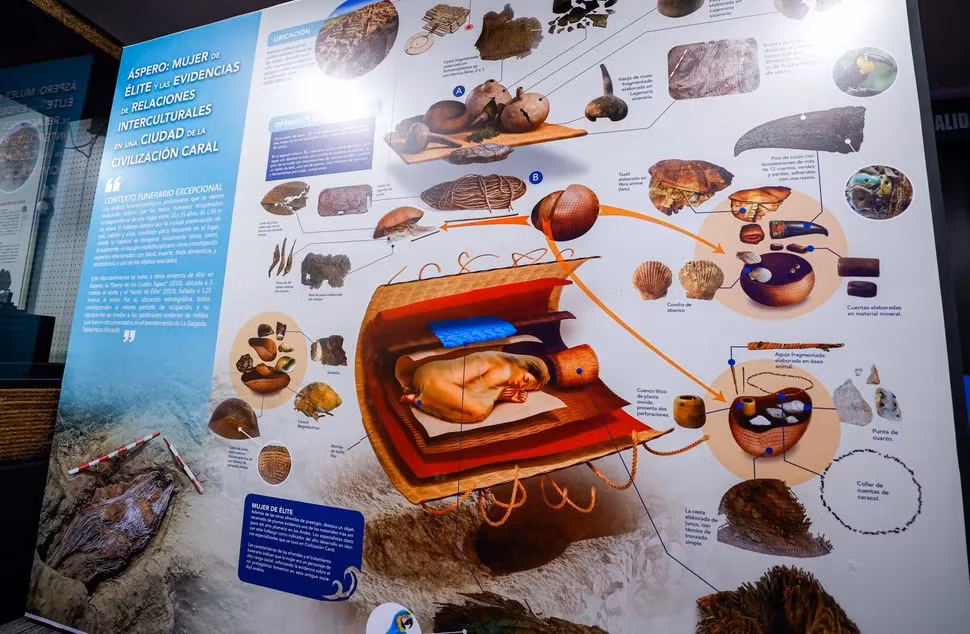 Theo các chuyên gia, người phụ nữ qua đời khi khoảng 20 - 35 tuổi. Bà được chôn cất cùng với nhiều đồ tùy táng đáng chú ý, bao gồm một tấm vải thêu lông vẹt đuôi dài, một mỏ chim tucan khảm hạt cườm màu xanh lá cây và nâu, một vỏ ốc sên Amazon, khoảng 30 củ khoai lang và một lưới đánh cá. Ảnh: Peru Ministry of Culture.