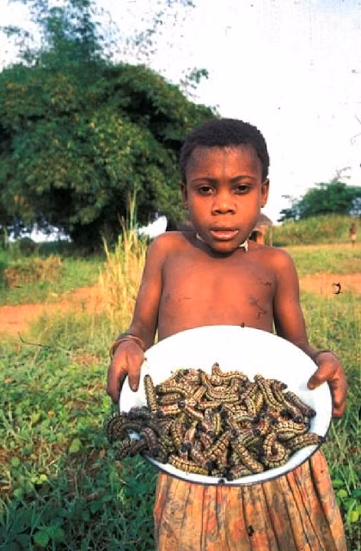 Người Pygmy có cánh tay dài, chân ngắn giống vượn và mặc trang phục khá đơn giản. Trong đó, họ có thể dùng da động vật săn bắt được hoặc sử dụng các chùm lá xanh để làm quần áo.