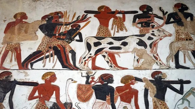 Các nhà nghiên cứu đã có khám phá bất ngờ về thi hài của một phụ nữ thượng lưu chết cách đây khoảng 4.000 tuổi. Bà được tìm thấy trong ngôi mộ cổ ở Nubia. Ảnh: World History Archive via Alamy Stock Photo.