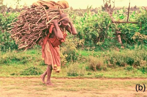 Tumplines là một loại dây đeo đầu để mang vác những vật nặng. Phát hiện này cho thấy con người sử dụng dây đeo đầu từ rất sớm. Ảnh: The Canadian Encyclopedia &amp; Visual Photos.