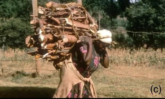 Tác giả chính của nghiên cứu Jared Carballo-Pérez, chuyên gia về khảo cổ sinh học tại Đại học Tự trị Barcelona cho hay đây là bằng chứng rõ ràng đầu tiên về việc phụ nữ đã sử dụng tumplines từ thời Đồ đồng. Ảnh: The Canadian Encyclopedia &amp; Visual Photos.