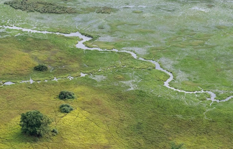 Phát hiện mới cho thấy Green Sahara không phải là hành lang di cư giữa châu Phi cận Sahara và Bắc Phi. Tuy nhiên, bằng chứng khảo cổ học cho thấy sự trao đổi văn hóa giữa các khu vực đã diễn ra. Ảnh: Henrik Karlsson/Getty.