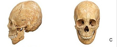 Khi đế chế La Mã sụp đổ, nhiều cuộc xung đột, nổi loạn, ám sát và bệnh truyền nhiễm hoành hành trên vùng đất này. Ảnh: PLOS ONE.