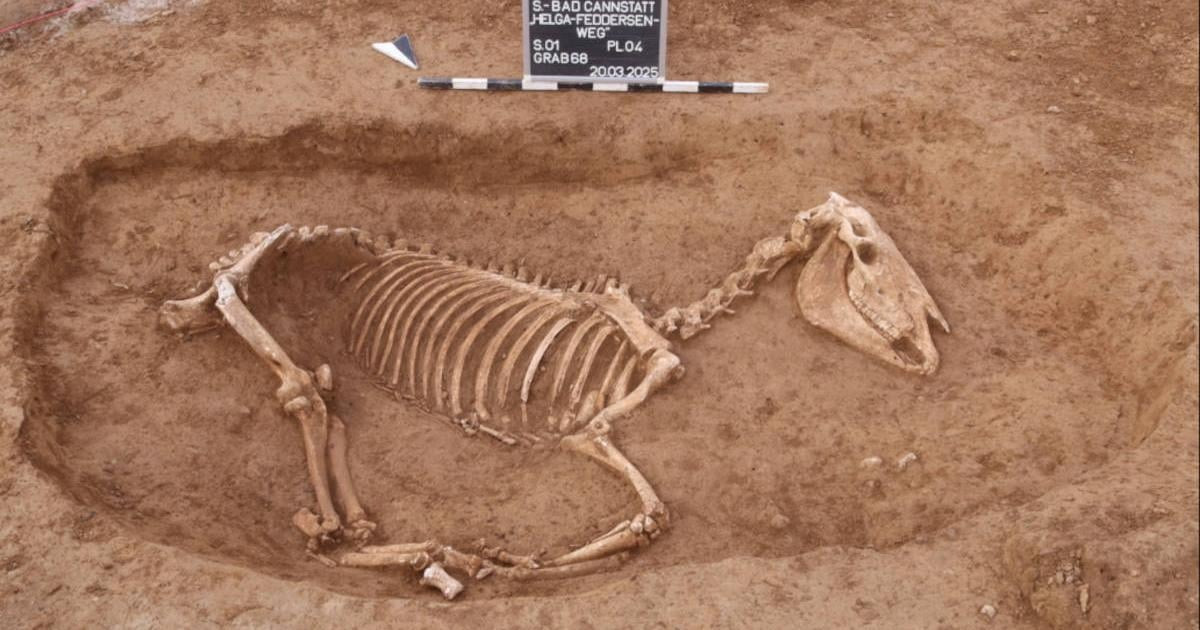 Các nhà khảo cổ đã có khám phá đáng chú ý về quân đội La Mã tại Bad Cannstatt, Stuttgart, Đức. Đó là việc họ tìm thấy bằng chứng về sự hiện diện của một đội kỵ binh La Mã tại khu vực này vào khoảng thế kỷ 2. Ảnh: Ancient origins.