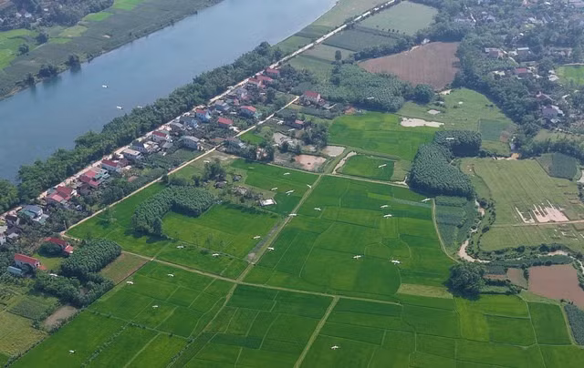 Cò nhạn có tên khoa học là Anastomus oscitans. Còn gọi là cò ốc, cò nhạn thuộc họ Hạc. Ảnh: Người Lao động.