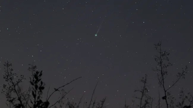 Do đó, những bí ẩn về kích thước, nguồn gốc, khoảng cách, tốc độ và quỹ đạo của sao chổi SWAN25F hiện vẫn chưa được làm sáng tỏ. Ảnh: Josh Dury.