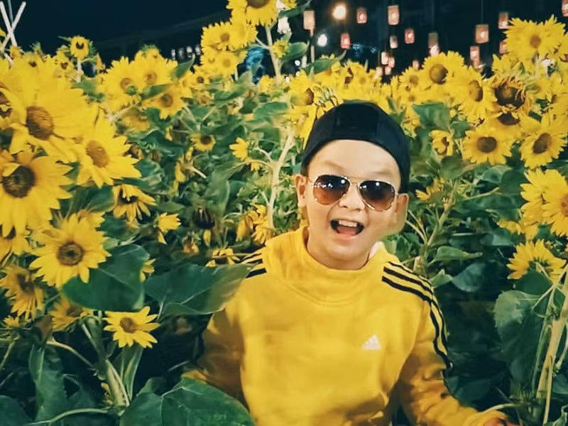 Nhiều khán giả cho rằng cần để cho các diễn viên nhí tài năng như Hữu Khang phát triển trong môi trường chuyên nghiệp trong tương lai.