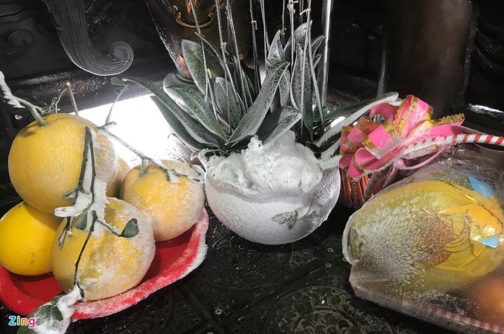 Không khí lạnh, khắc nghiệt khiến hoa quả và cây bên trong ngôi chùa xuất hiện lớp băng phủ bên ngoài.