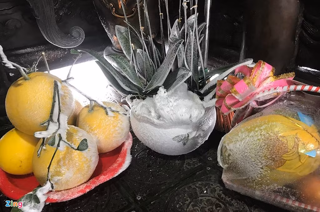 Không khí lạnh, khắc nghiệt khiến hoa quả và cây bên trong ngôi chùa xuất hiện lớp băng phủ bên ngoài.