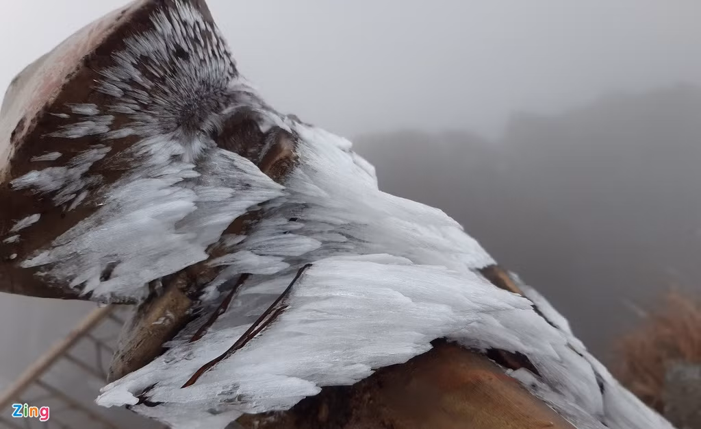 Nói với Zing, ông Nguyễn Văn Công, Giám đốc Sở Nông nghiệp và Phát triển Nông thôn Quảng Ninh, cho biết Sở chủ động lập nhiều đoàn công tác đến các địa phương vùng cao của tỉnh để kiểm tra, hướng dẫn người dân chủ động phòng chống rét cho vật nuôi, cây trồng. Hiện tại, người dân ở vùng núi cao đã chủ động và sẵn sàng ứng phó trong đợt rét dài này.