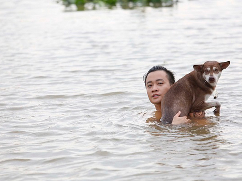 Phim “Hot boy nổi loạn 2” cũng chọn chú chó ta. Đó là chú chó Kiki ở một gia đình tại Trà Vinh. Ảnh: Thương hiệu &amp; công luận