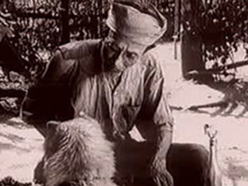 Thực tế, có không ít chú chó ta khi đóng phim đã được nhiều khán giả yêu thích. Có thể kể đến chú chó ta đóng vai "Cậu Vàng" trong "Làng Vũ Đại ngày ấy" lên sóng năm 1982. Chú chó này lấy được nước mắt của người xem khi diễn xuất sắc phân cảnh bị bắt. Ảnh: Vietnamnet